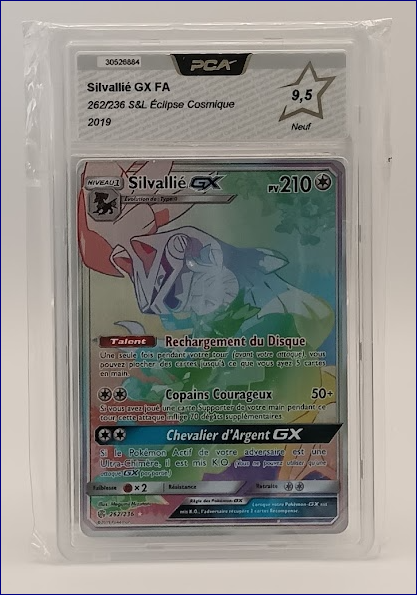 Silvallié GX FA 119/111 SL4 PCA 9,5